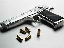 ADDING CALIBERS TO BSIS FIREARM PERMIT